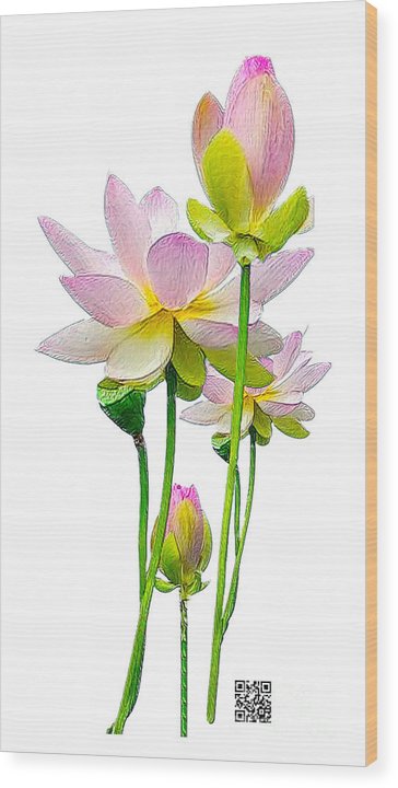 Tulipan - Wood Print