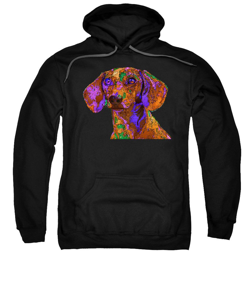 Sweatshirt - Chloe. Pet Series