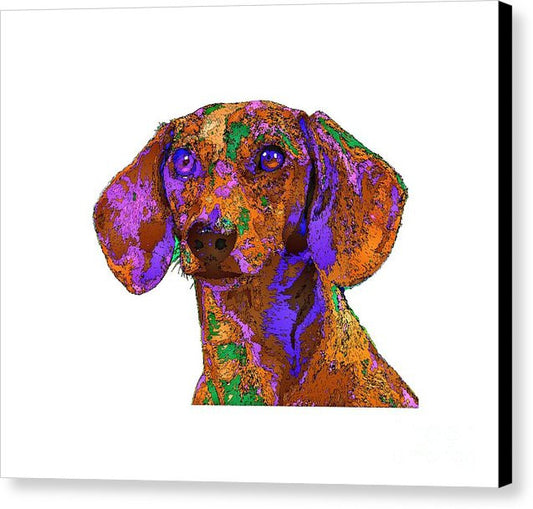 Canvas Print - Chloe. Pet Series