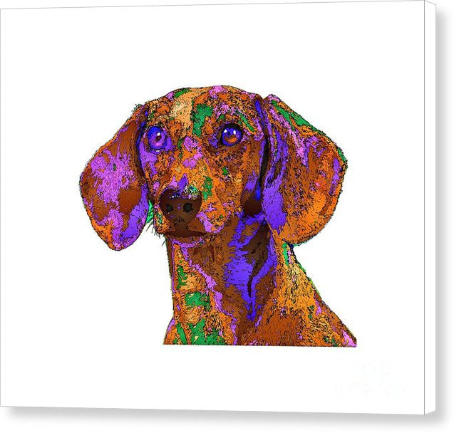 Canvas Print - Chloe. Pet Series