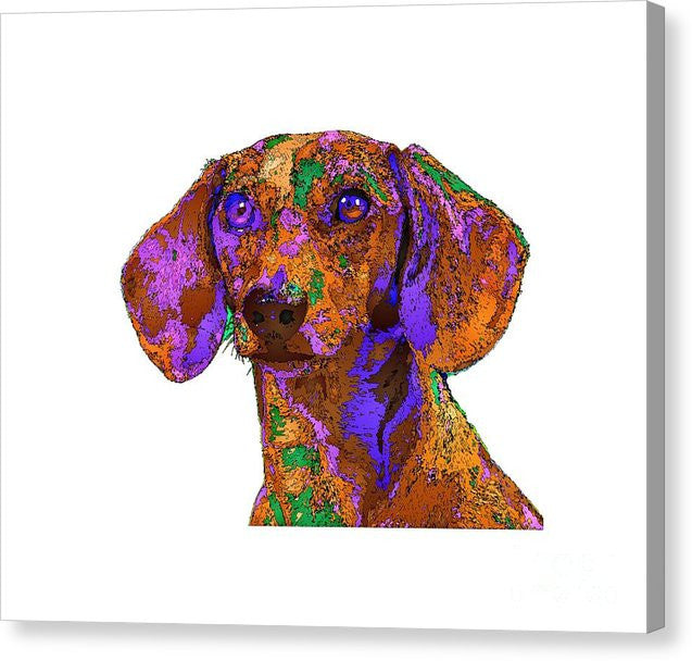 Canvas Print - Chloe. Pet Series