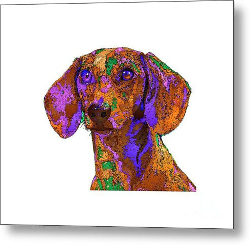 Metal Print - Chloe. Pet Series