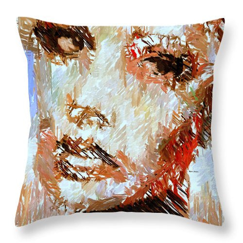 Throw Pillow - A Look At The Past