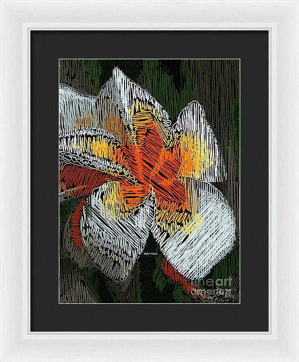 Framed Print - A Ray Of Sunshine