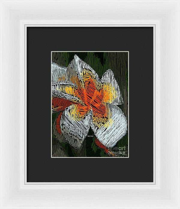 Framed Print - A Ray Of Sunshine