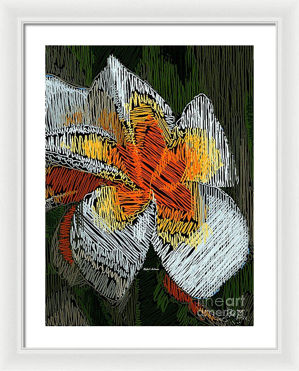 Framed Print - A Ray Of Sunshine