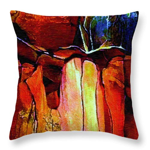 Throw Pillow - Abstract 456