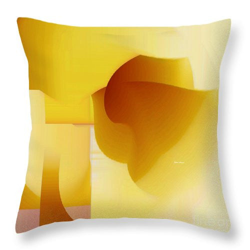 Throw Pillow - Abstract 9726