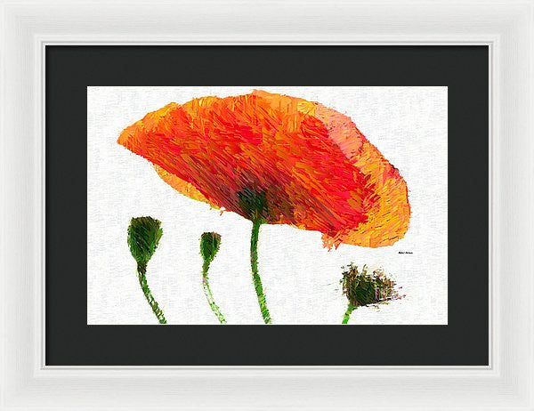 Framed Print - Abstract Flower 0723