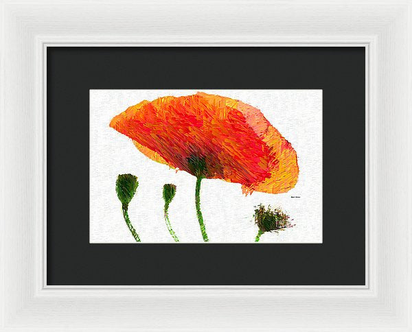 Framed Print - Abstract Flower 0723