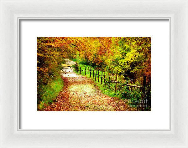 Framed Print - Abstract Landscape 0746