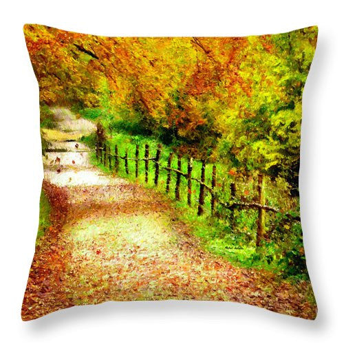 Throw Pillow - Abstract Landscape 0746