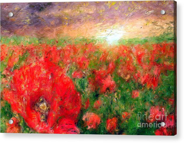 Acrylic Print - Abstract Landscape Of Red Poppies