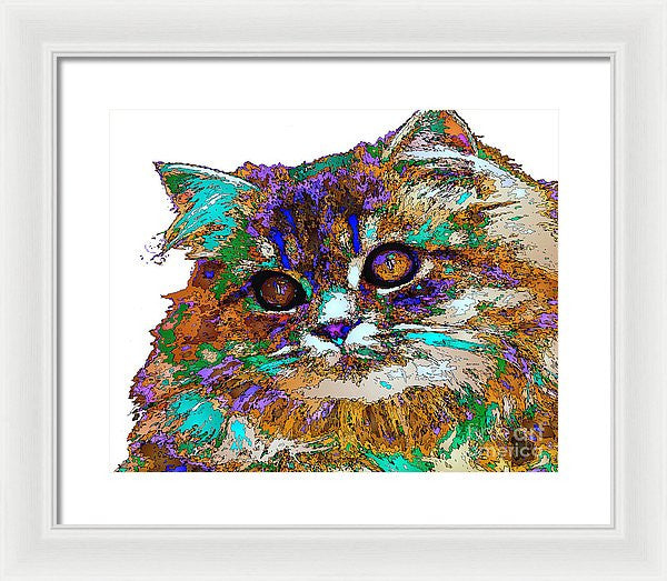 Framed Print - Adele The Cat. Pet Series