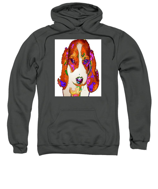 Sweatshirt - Am I Cute Or What. Pet Series