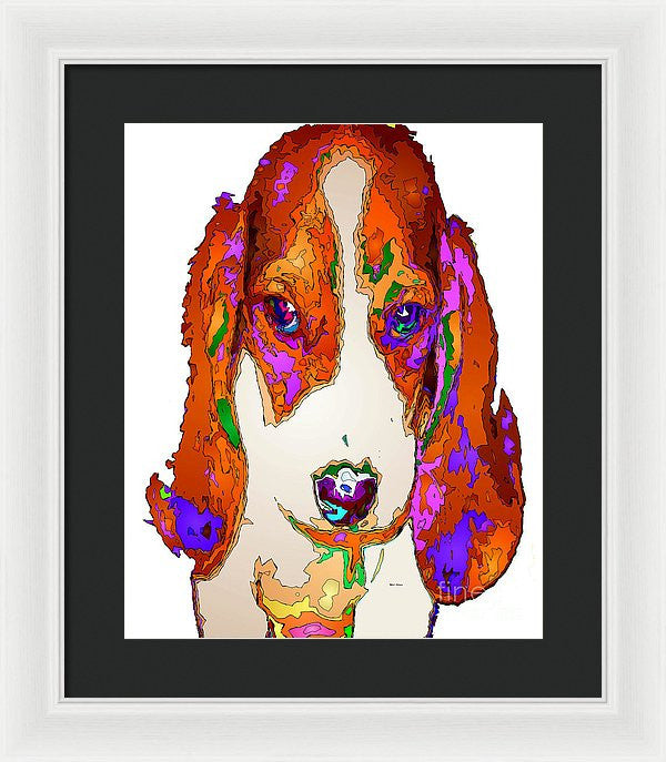 Framed Print - Am I Cute Or What. Pet Series