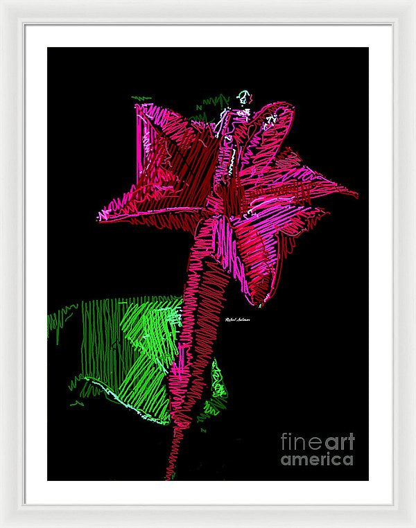 Framed Print - Amaryllis