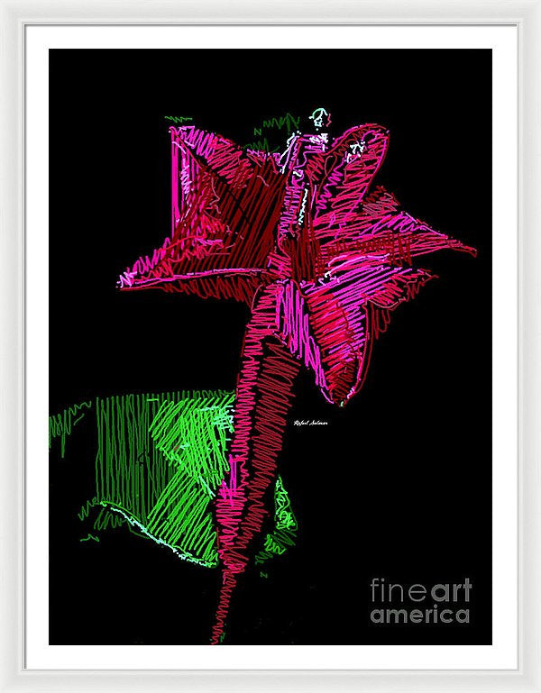 Framed Print - Amaryllis