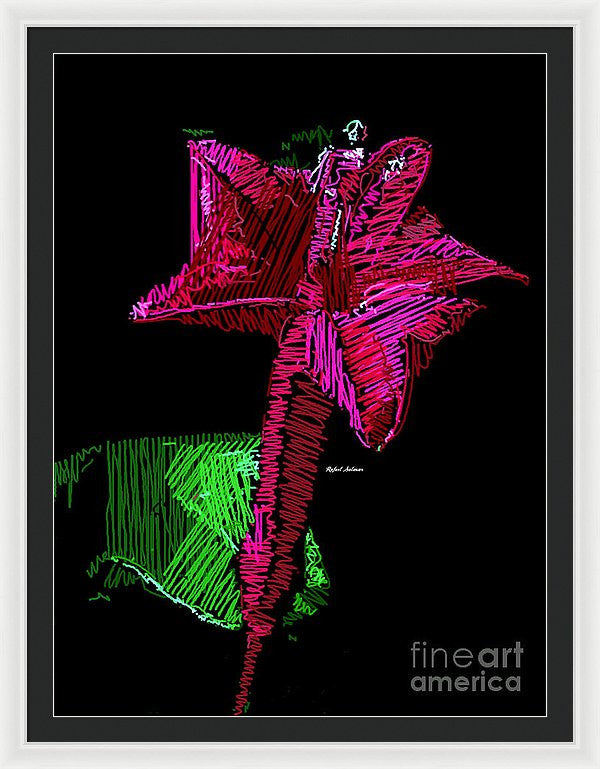 Framed Print - Amaryllis