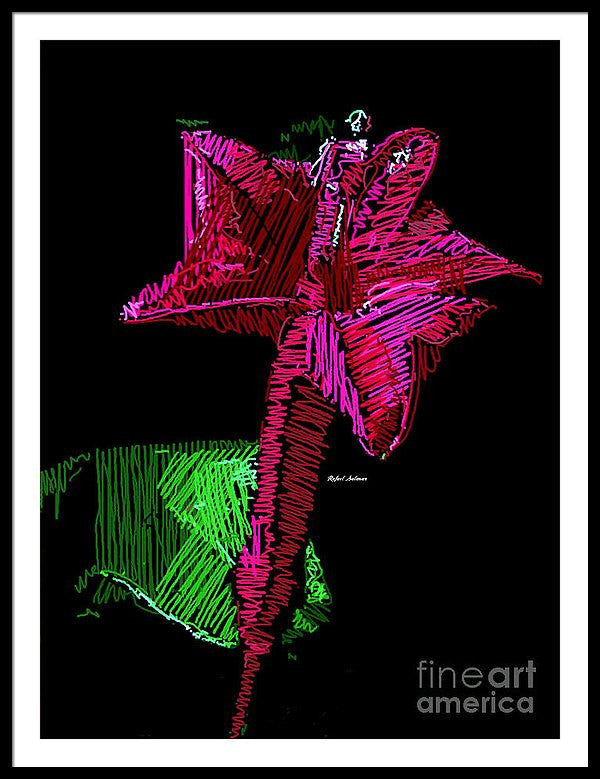 Framed Print - Amaryllis