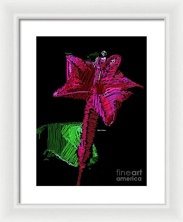 Framed Print - Amaryllis