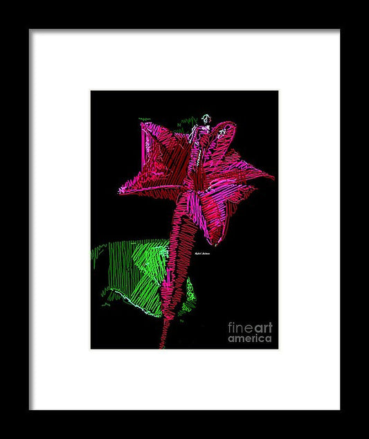 Framed Print - Amaryllis