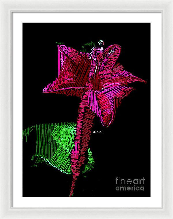 Framed Print - Amaryllis