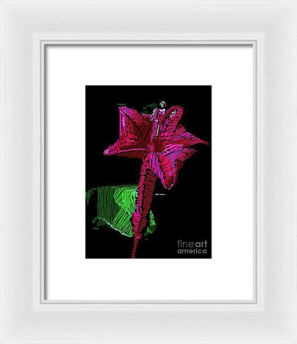 Framed Print - Amaryllis