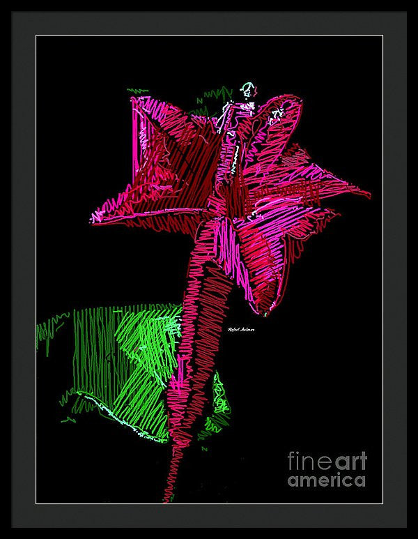 Framed Print - Amaryllis