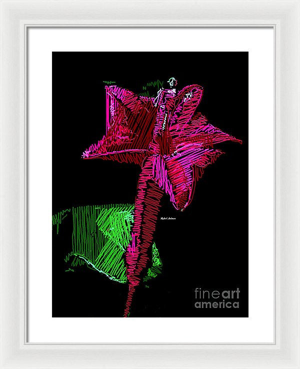 Framed Print - Amaryllis