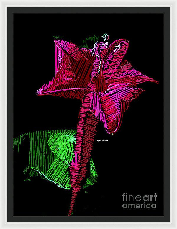 Framed Print - Amaryllis