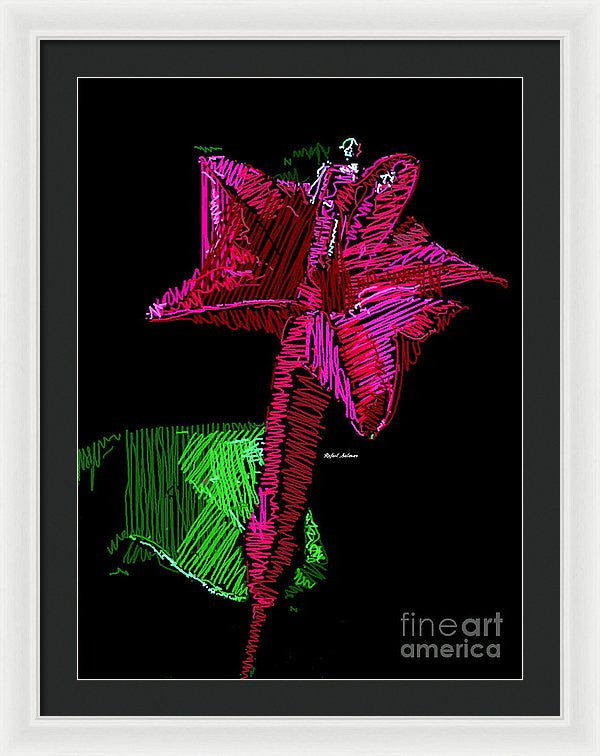 Framed Print - Amaryllis