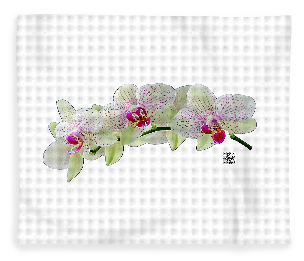 Throw Blanket with Orchid flower in delicate white green and purple colors on a stem. Artwork by Rafael Salazar