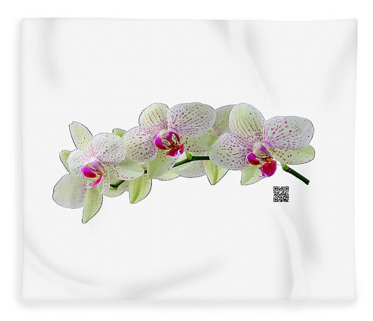 Throw Blanket with Orchid flower in delicate white green and purple colors on a stem. Artwork by Rafael Salazar