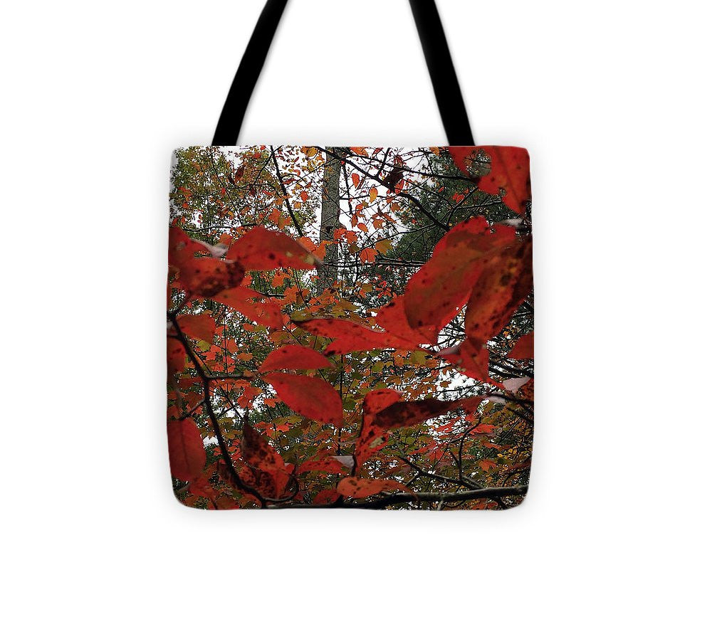 Throw Pillow - Autumn Leaves In Red