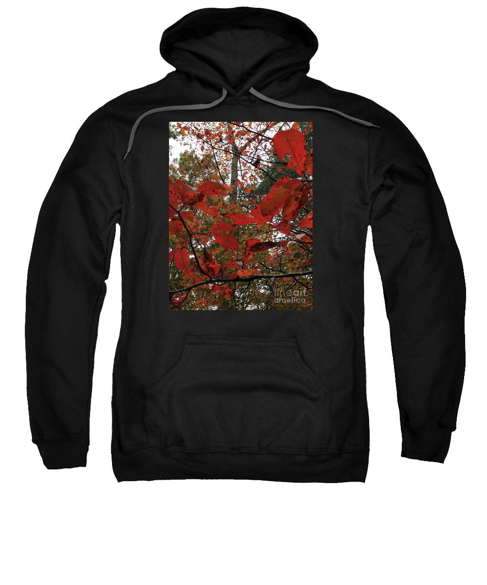 Sweat-shirt - Feuilles d'automne en rouge