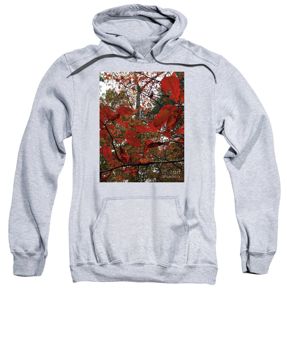 Sweat-shirt - Feuilles d'automne en rouge