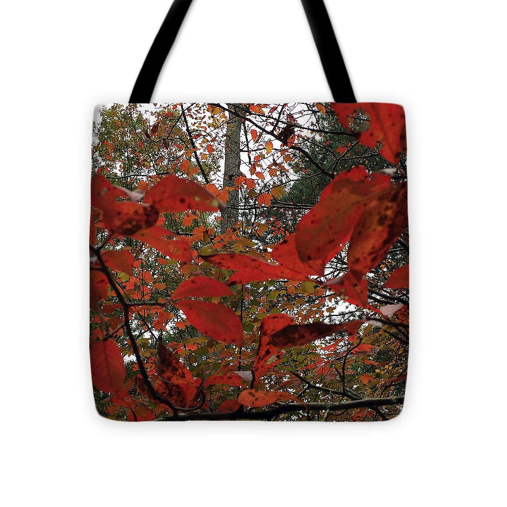 Tote Bag - Autumn Leaves In Red