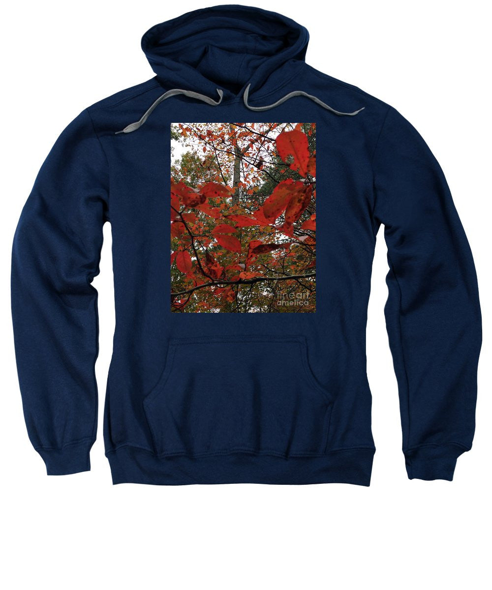 Sweat-shirt - Feuilles d'automne en rouge