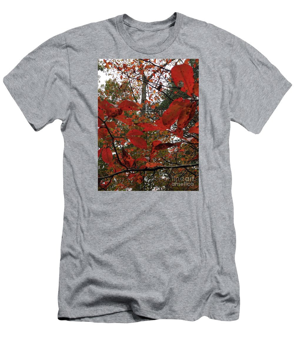 Men's T-Shirt (Slim Fit) - Autumn Leaves In Red