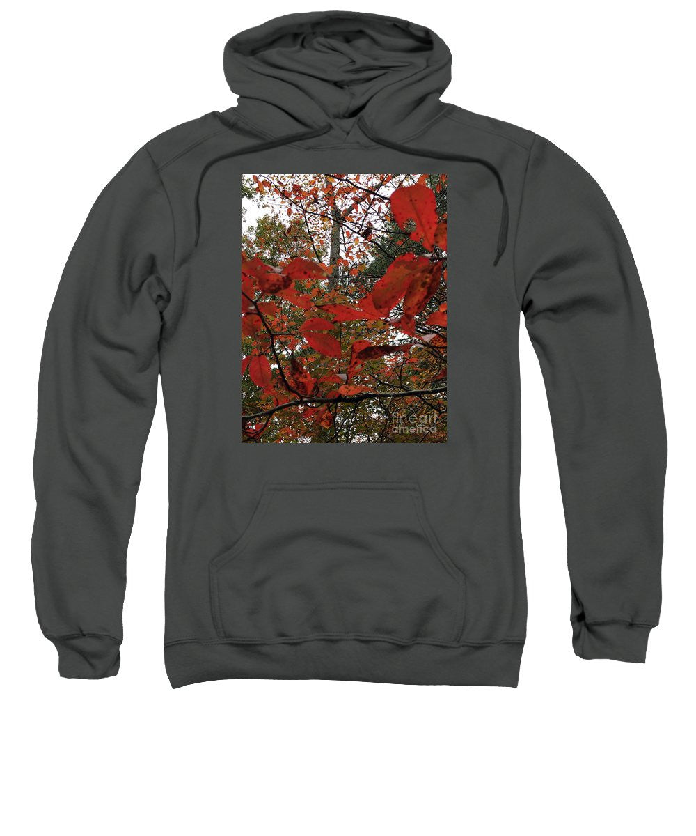 Sweat-shirt - Feuilles d'automne en rouge