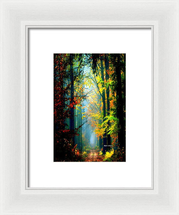 Framed Print - Autumn Trails In Georgia