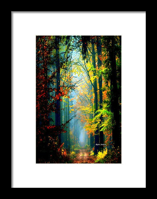 Framed Print - Autumn Trails In Georgia