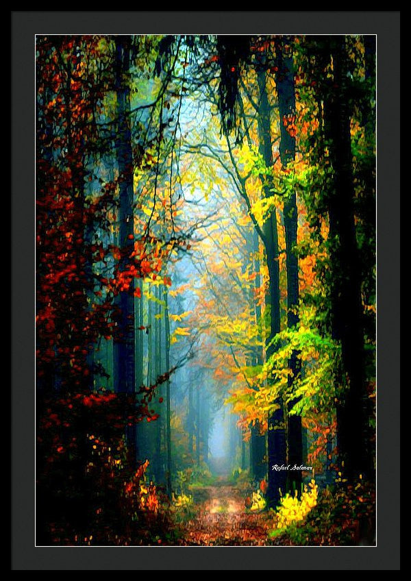 Framed Print - Autumn Trails In Georgia