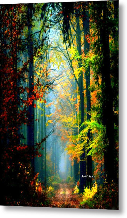 Impression sur métal - Sentiers d'automne en Géorgie