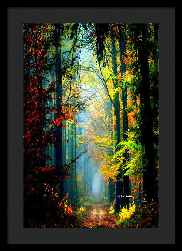 Framed Print - Autumn Trails In Georgia