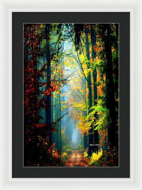 Framed Print - Autumn Trails In Georgia