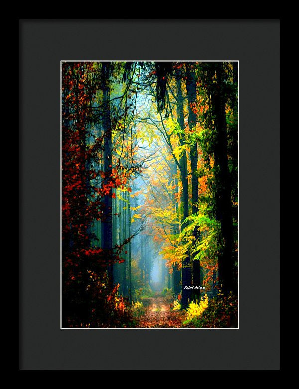 Framed Print - Autumn Trails In Georgia