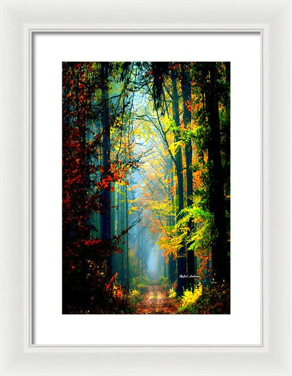 Framed Print - Autumn Trails In Georgia