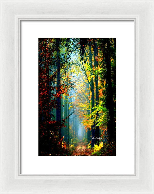 Framed Print - Autumn Trails In Georgia